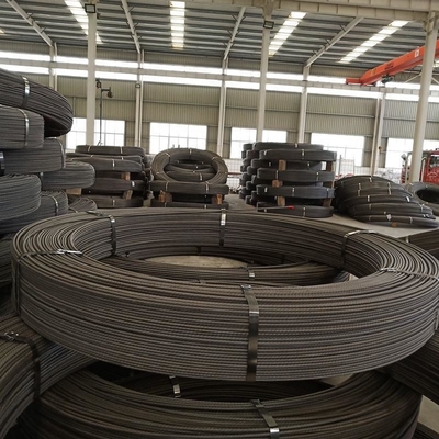 5m-14m Plain End Q195 Low Carbon Steel Wire Rod SAE 1008 σε κυλίνδρους για BS Standard Netting